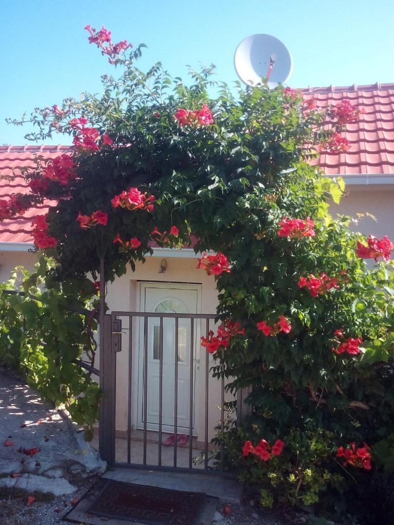 Вилла Natalia Tivat Exterior foto